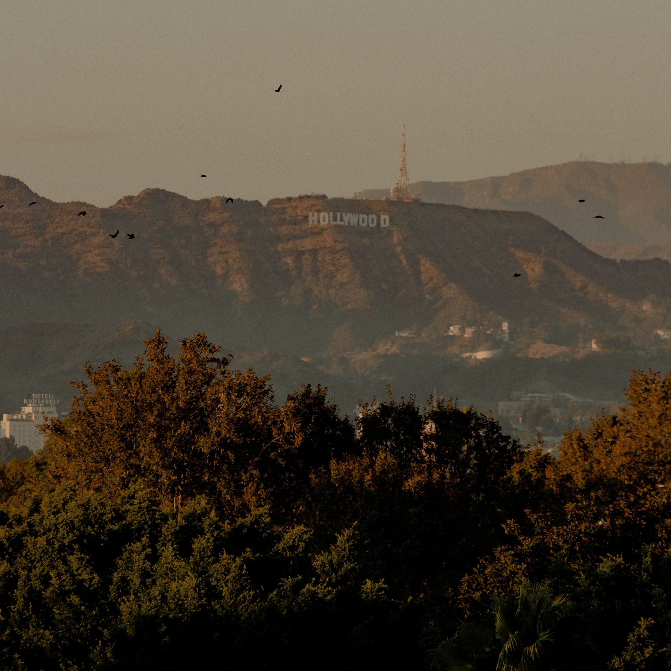 Echelon Studios West